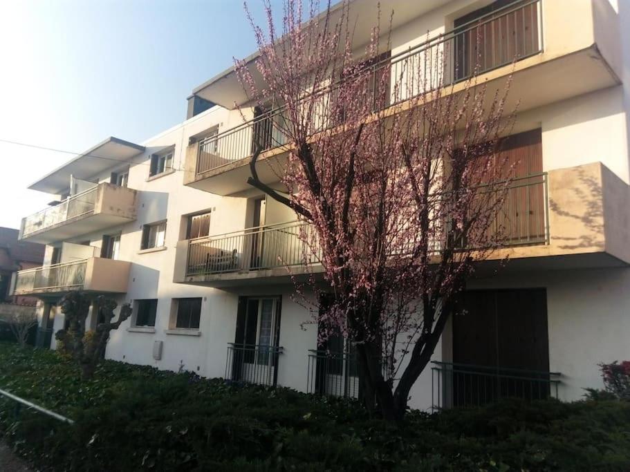 Appartement Avec Balcon Et Parking Prive Roanne Eksteriør bilde