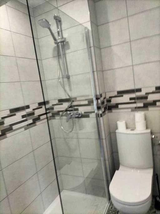 Appartement Avec Balcon Et Parking Prive Roanne Eksteriør bilde