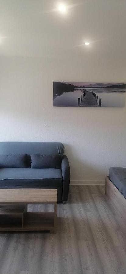 Appartement Avec Balcon Et Parking Prive Roanne Eksteriør bilde